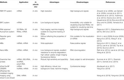 Progress of CRISPR-Cas13 Mediated Live-Cell RNA Imaging and Detection of RNA-Protein Interactions